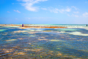 View of tropical sandy beach on Zanzibar, Tanzania. 