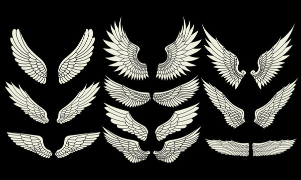 vector set of angel wings illustration design