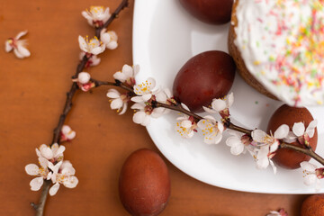 Obraz na płótnie Canvas Easter composition. A blooming apricot branch, painted eggs and a glazed Easter cake decorated with sugar sprinkles