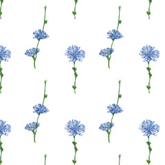 Floral pattern with blue flowers on a white background, hand painted in watercolor.