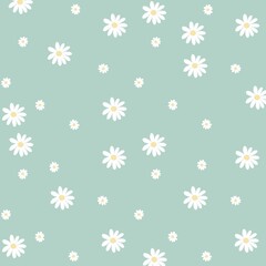 white daisies on pastel green background