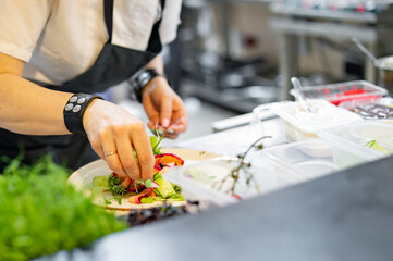 Chef cooking Green salad with salmon, cucumbers, lettuce, spices, caviar on restaurant kitchen
