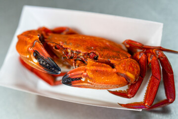 Cooked Galician Necora ready to eat and taste. Seafood and food concept