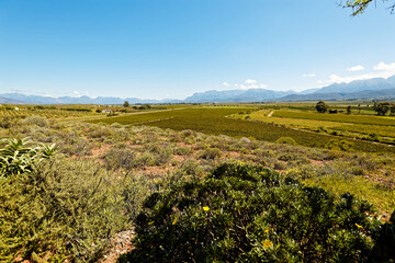 Fototapeta na wymiar A view over Breede River Valley and farmland near Worcester, Western Cape, South Africa.