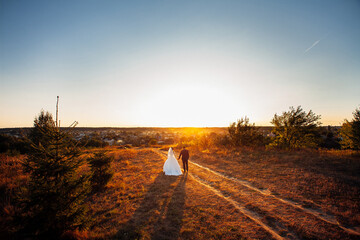 The bride and groom hold hands, walk along the path in the meadow, during sunset. Photography in warm and cold colors.