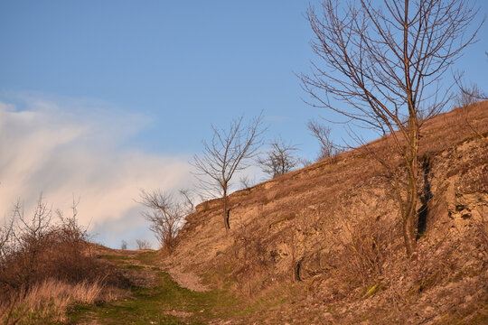 Beautiful autumn landscape. The bare trunks of birch trees, dry grass and country road with puddles on the background of blue sky. Birch trees without leaves in March.