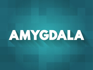 Amygdala is the integrative center for emotions, emotional behavior, and motivation, text concept background