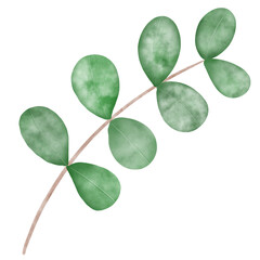 Obraz premium Green leaves branch watercolor