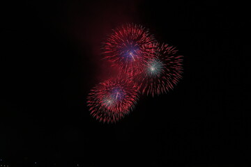 蒲郡の夏の花火イベント