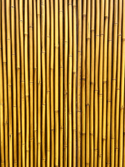 Bamboo wood sticks texture pattern
