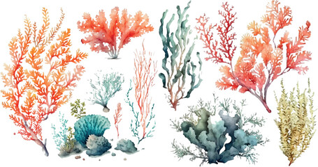 Set of vector watercolor seaweed and corals isolated on white. Sea theme, design element, decoration of water entertainment places, parks, beaches. - obrazy, fototapety, plakaty