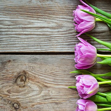 Lilac tulips on a wooden background, happy mother's day, holiday and birthday gift. Spring concept. Top view.