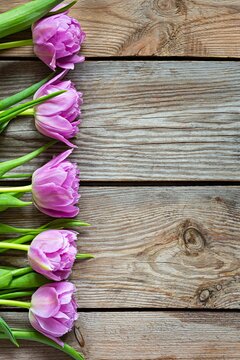 Lilac tulips on a wooden background, happy mother's day, holiday and birthday gift. Spring concept. Top view.