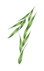 Number 1, alphabet of green leaves, Numbers from leaves. Symbol 1 with the green leaves texture. Eco symbol collection. Watercolor illustration.