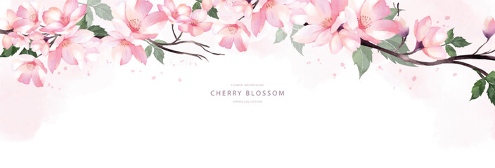 Fototapeta na wymiar Cherry blossom bouquet watercolor vector background design