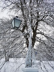 A beautiful, forged, street lamp against the background of a snow-covered tree and a blue sky with clouds in a city park in early spring in St. Petersburg.