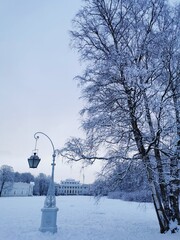 A beautiful, forged, street lamp against the background of a snow-covered tree and a blue sky with clouds in a city park in early spring in St. Petersburg.