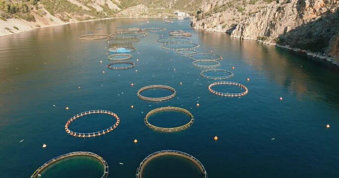 Fish farm by Aegean sea in Greece. Fish breeders in natural marine waters. View island in sea. Aerial view of slide from drone on beautiful panorama of sea and mountains on island.  Seafood. Travel. T