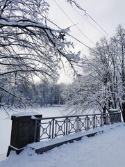 The fence of the bridge across the river in the city park, around the snow and snow-covered trees. Early spring in St. Petersburg