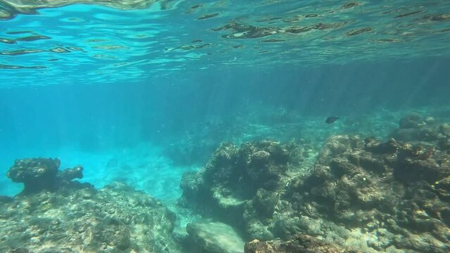 Entering the water to snorkel at Turtle Reef in Cayman Islands