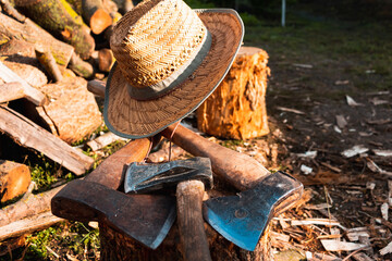 Axes of woodcutter with wooden handles are placed on a wooden log. The hatchets. Harvesting...