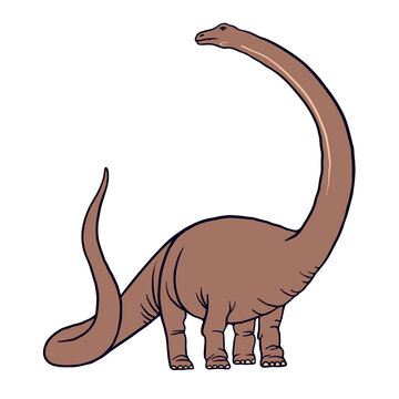 Image of diplodocid sauropod dinosaur for educational books