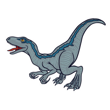 Educational illustrations for kids books of velociraptor