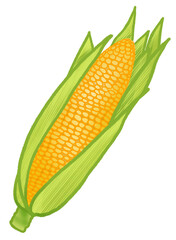 Obraz premium Corn