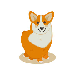 Cute corgi dog, purebred pet. Vector flat illustration of a domestic animal on a white background, eps 10.