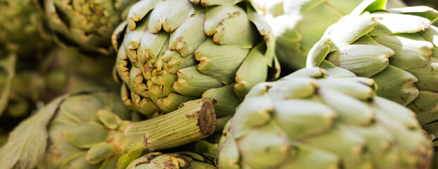 Fresh artichokes on market counter