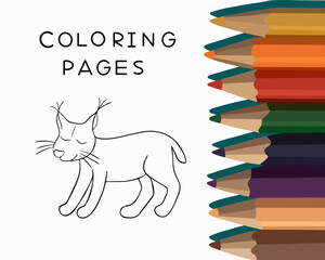 Vector isolated illustration of a lynx coloring page. Coloring page with an animal.