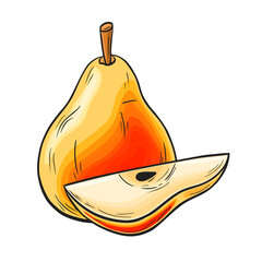 Juicy red and yellow pear and slice. Linear drawing in ink and color fill on a white isolated background. Vector hand drawn illustration for logo or emblem