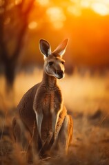 Kangaroo in savanna at sunny day. Generative AI.