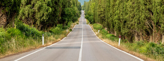 The famous cypress-lined road leading to the ancient village of Bolgheri, Italy
