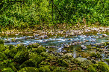 Obraz na płótnie Canvas A long exposure view across the white River in the jungle near Tortuguero in Costa Rica during the dry season