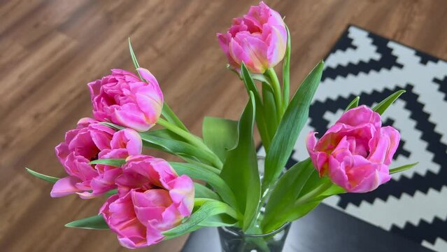 Tulips vase. Bunch bright intense yellow tulips glass vase on black. Spring vibes and emotions in home atmosphere. High quality 4k footage.