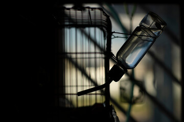 Drinking bottle for rodent. Pet cage.