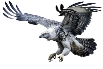 Harpy Eagle Flying