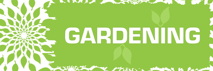 Gardening Green Leaves Scratch Background Horizontal 