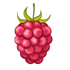 juicy raspberry with leaf vector illustration. Raspberry icon clipart. Raspberry cartoon.Sweet food. Realistic vector illustration.