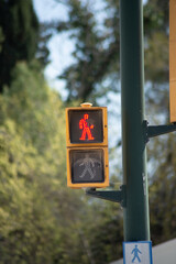 semaforo en Rojo para peatones