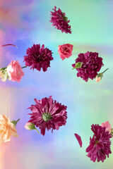 Spring flowers on a holographic background. Summer visual floral concept.