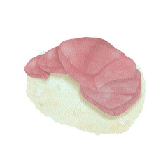 Maguro nigiri, sushi watercolor