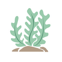 Seaweed, coral and sea grass flat design vector for decoration on Aquatic plant.