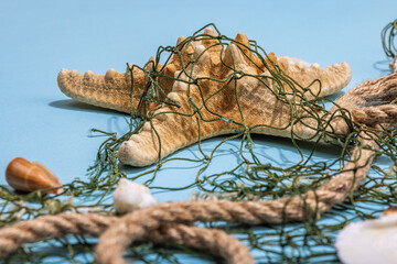 Fototapeta na wymiar Blue nautical background with sea shells, starfishes and fishing net. Assorted marine animals