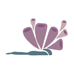 Seaweed, coral and sea grass flat design vector for decoration on Aquatic plant.