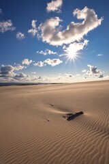 Beautiful holiday seaside landscape. Moving dunes in the desert in Slowinski National Park in Leba, Poland. - obrazy, fototapety, plakaty