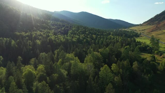 Summer sunny morning sunrise mountain valley countryside green forest aerial view. Drone shot cliff rocky terrain alpine sunlight evening sunset landscape natural spring panorama 4k