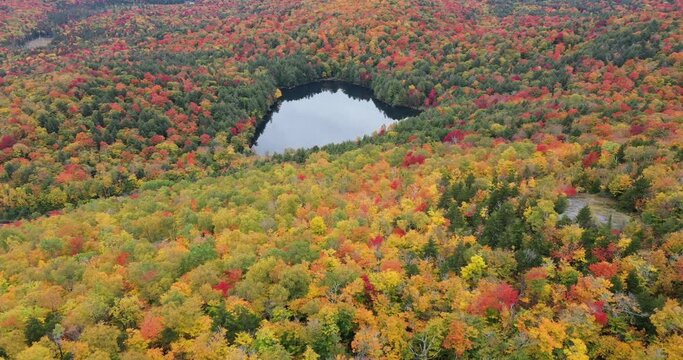 A road slices through the colorful autumn landscape along Panther Pond near Panther Mountain Bog in Adirondack Park in Upstate New York.