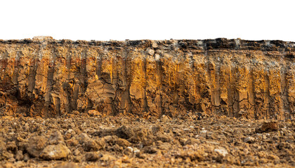 A low-angle view through the mound to the cross-section of the soil layer beneath an asphalt road.
